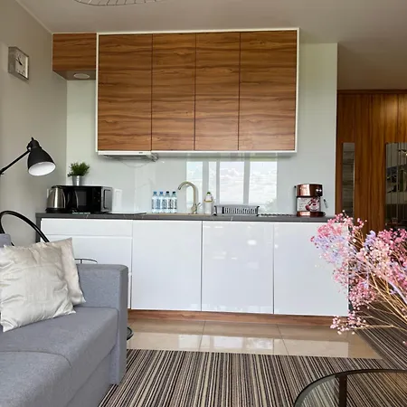 Luxury Resort Krynica -Apartamenty No 1 With Swimming Pool-3